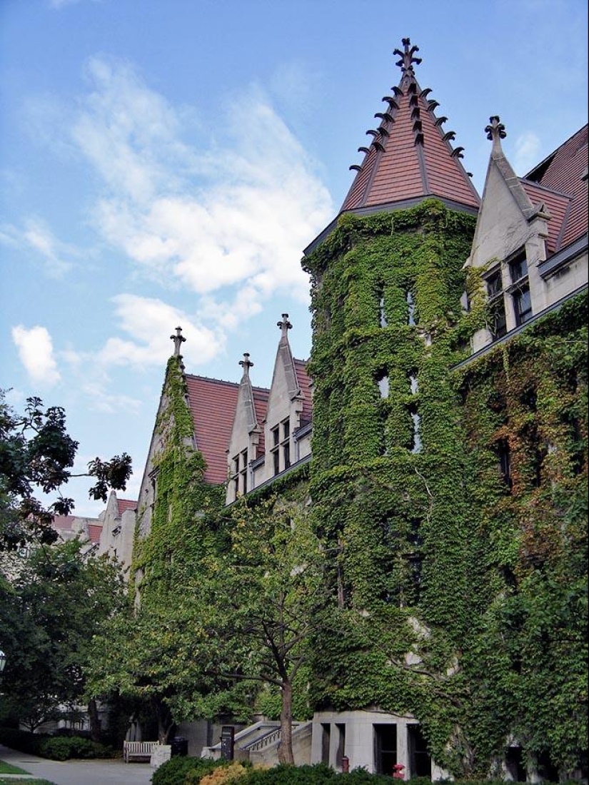 Green houses