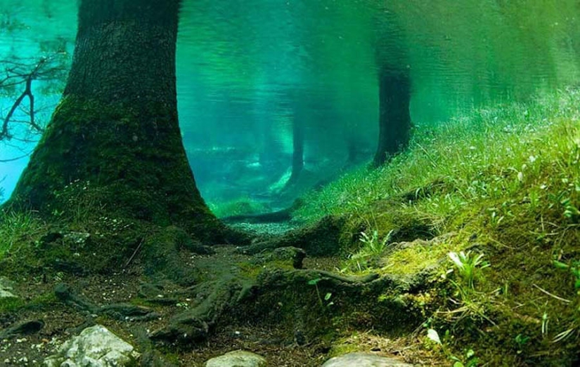 Green Lake Ghost Park