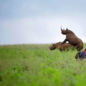 “¡Greg, date la vuelta!”: el fotógrafo contó cómo fue ridiculizado en las redes por el fracaso imaginario