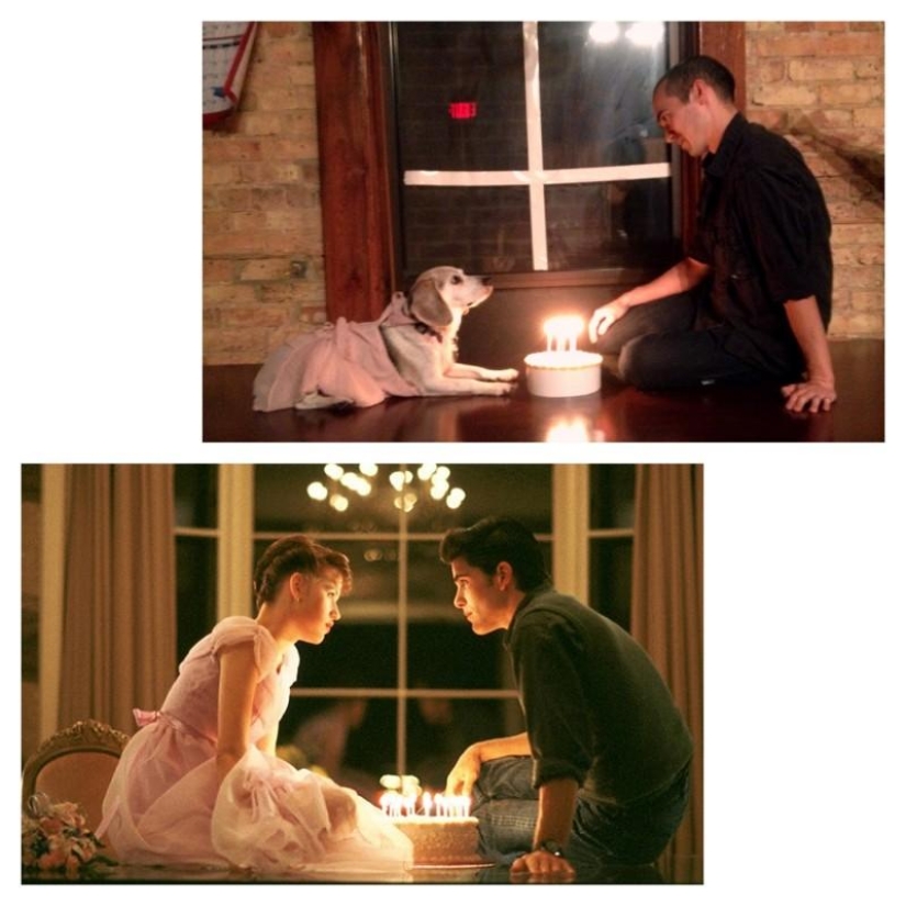 Guy recrea escenas de películas famosas con su perro Guy recrea escenas de películas famosas con su perro