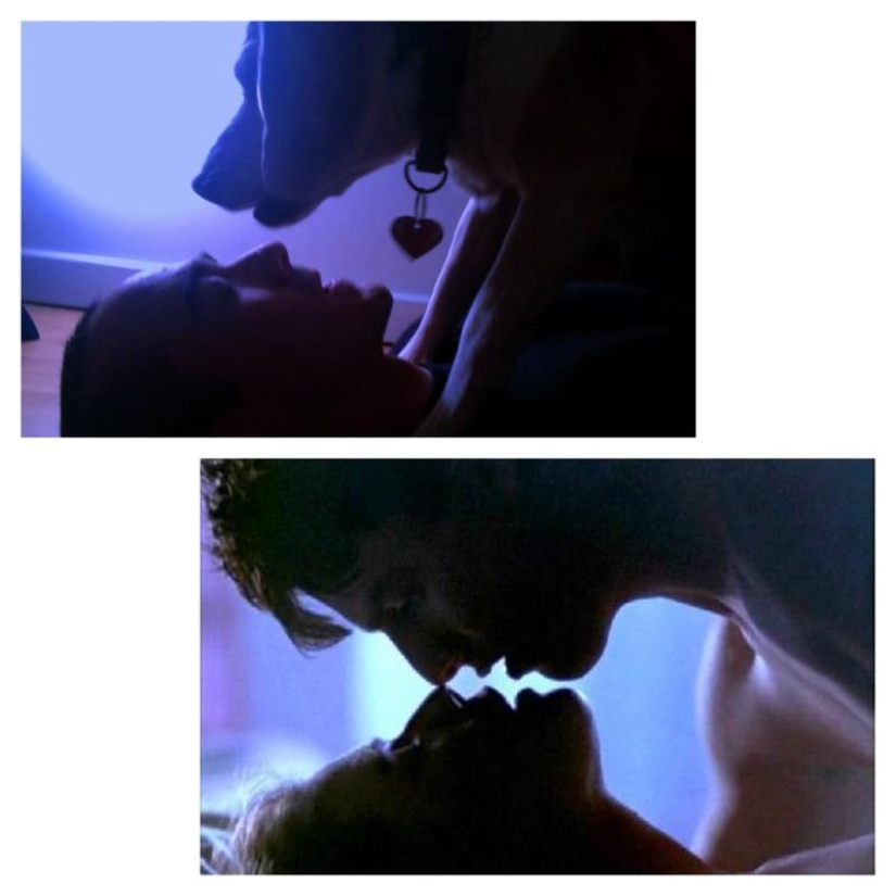 Guy recrea escenas de películas famosas con su perro Guy recrea escenas de películas famosas con su perro