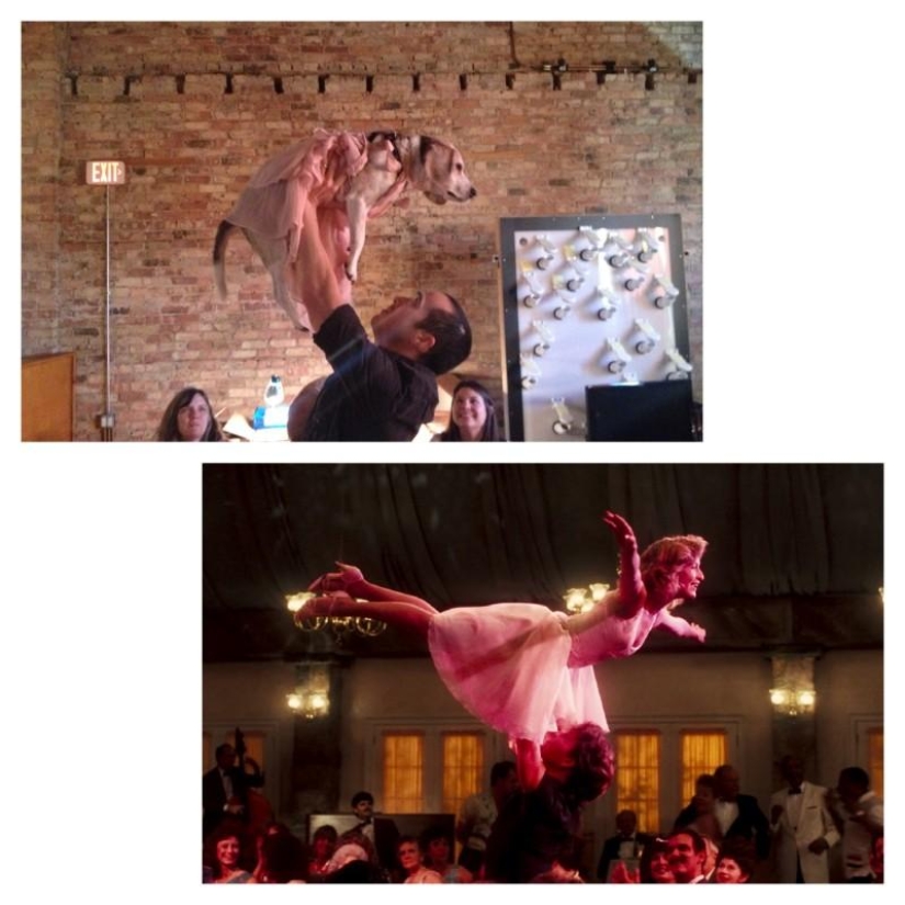 Guy recrea escenas de películas famosas con su perro Guy recrea escenas de películas famosas con su perro