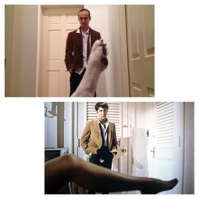 Guy recrea escenas de películas famosas con su perro Guy recrea escenas de películas famosas con su perro