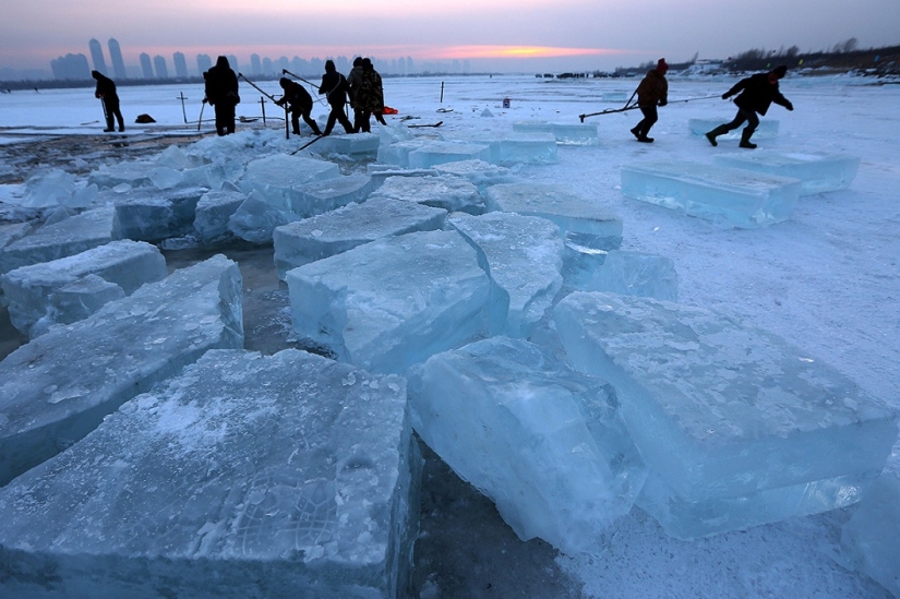 Harbin International Ice and Snow Festival 2015 Harbin International Ice and Snow Festival 2015