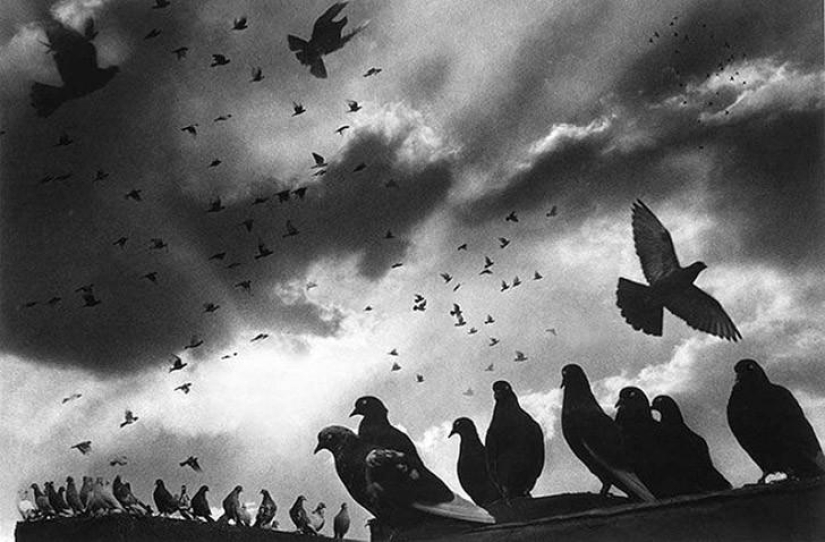 Harold Feinstein - the legend of street photography