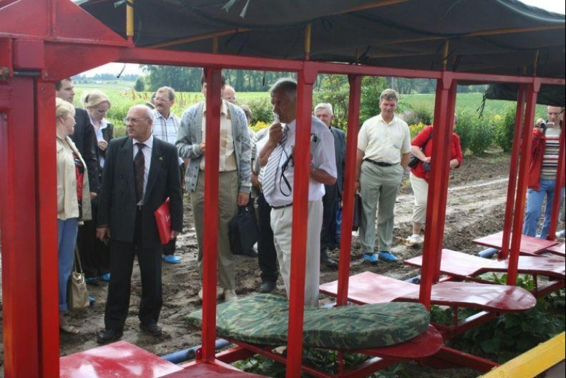 Harvesting cucumbers in Belarusian