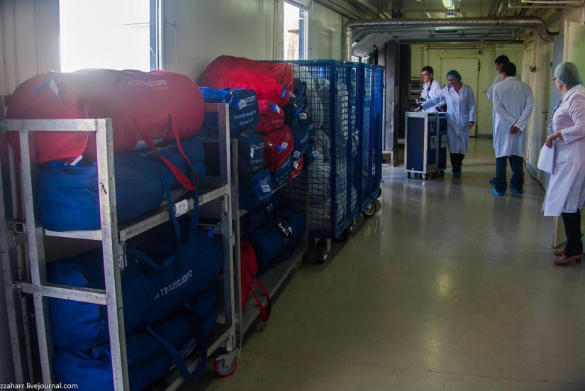 Haute Cuisine: Koltsovo Airport Catering