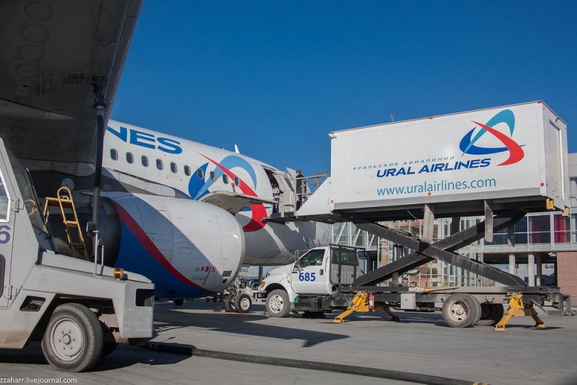 Haute Cuisine: Koltsovo Airport Catering