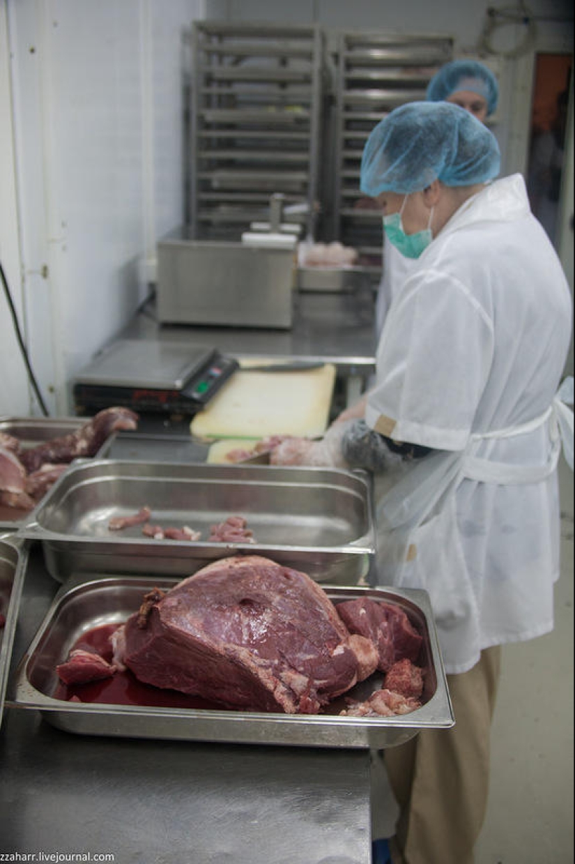 Haute Cuisine: Koltsovo Airport Catering