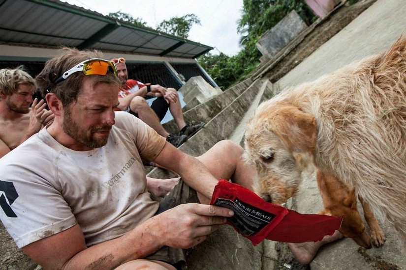 Historia del perro ganador de una carrera de aventuras Historia del perro ganador de una carrera de aventuras