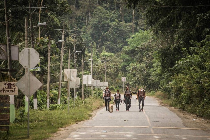Historia del perro ganador de una carrera de aventuras Historia del perro ganador de una carrera de aventuras