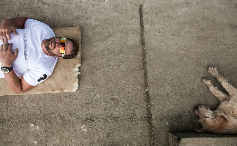 Historia del perro ganador de una carrera de aventuras Historia del perro ganador de una carrera de aventuras