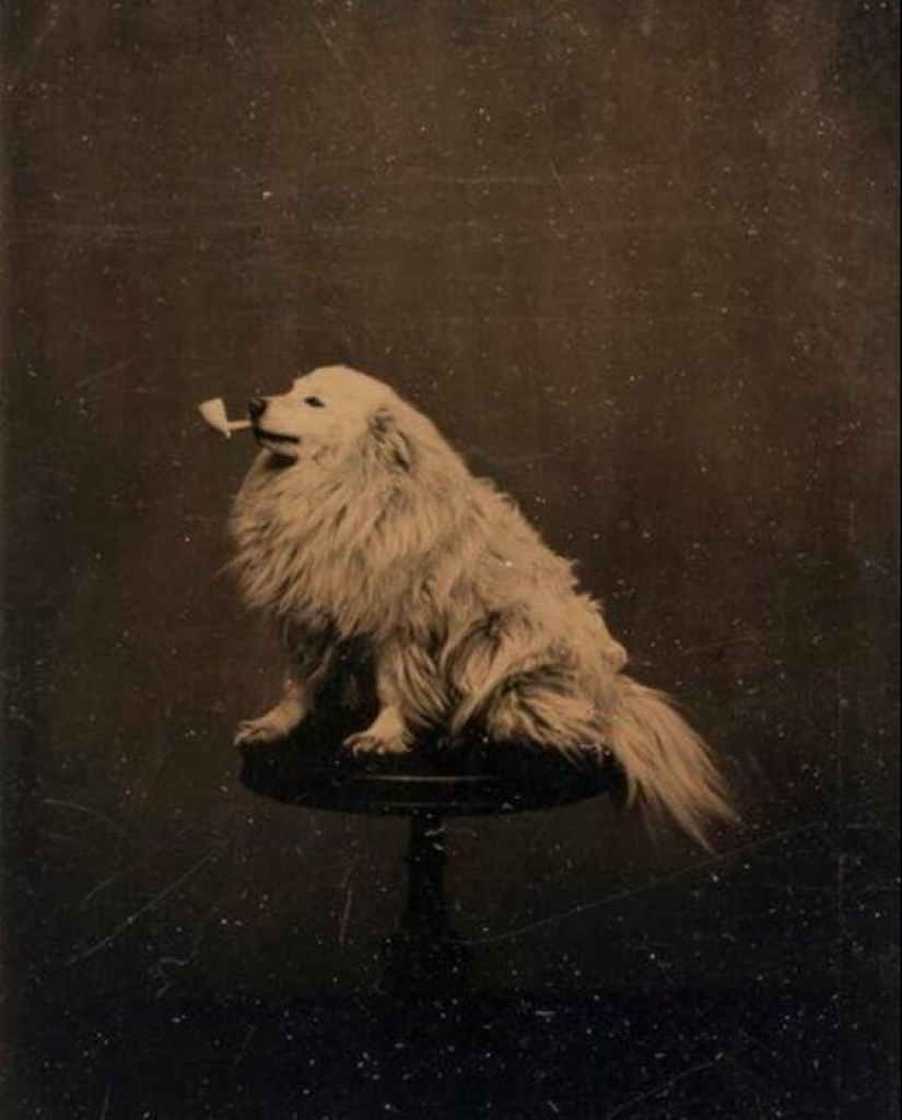Historical images from different parts of the world that evoke a variety of emotions