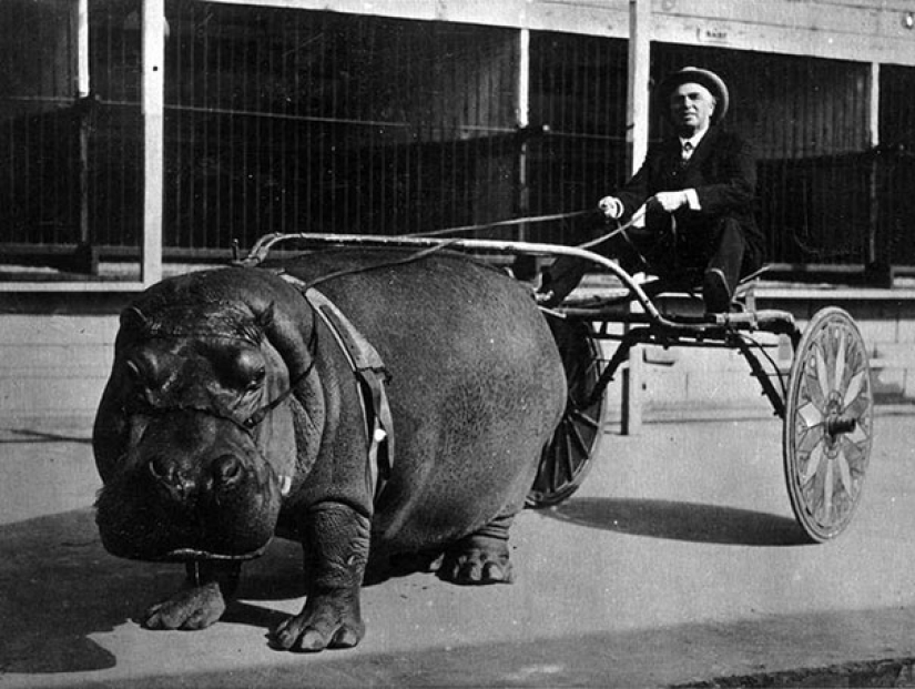 Historical moments in old photographs