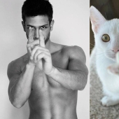 hombres y gatos