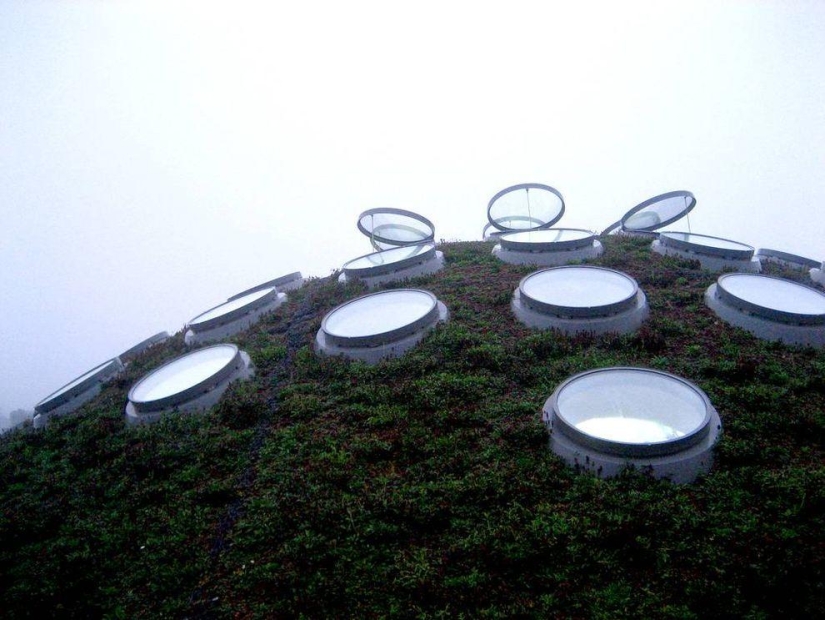 Homes for true hobbits