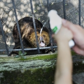 Horrors of zoos from around the world