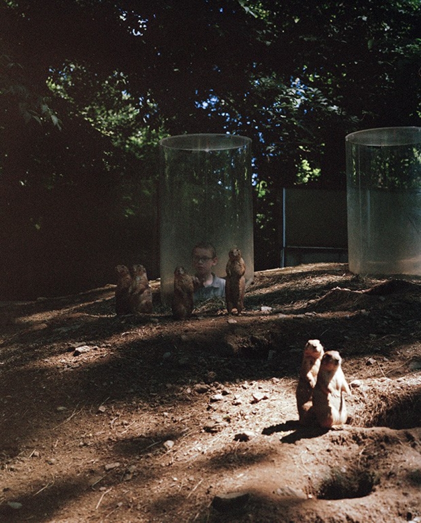 Horrors of zoos from around the world
