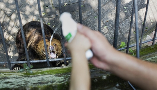 Horrors of zoos from around the world Horrors of zoos from around the world