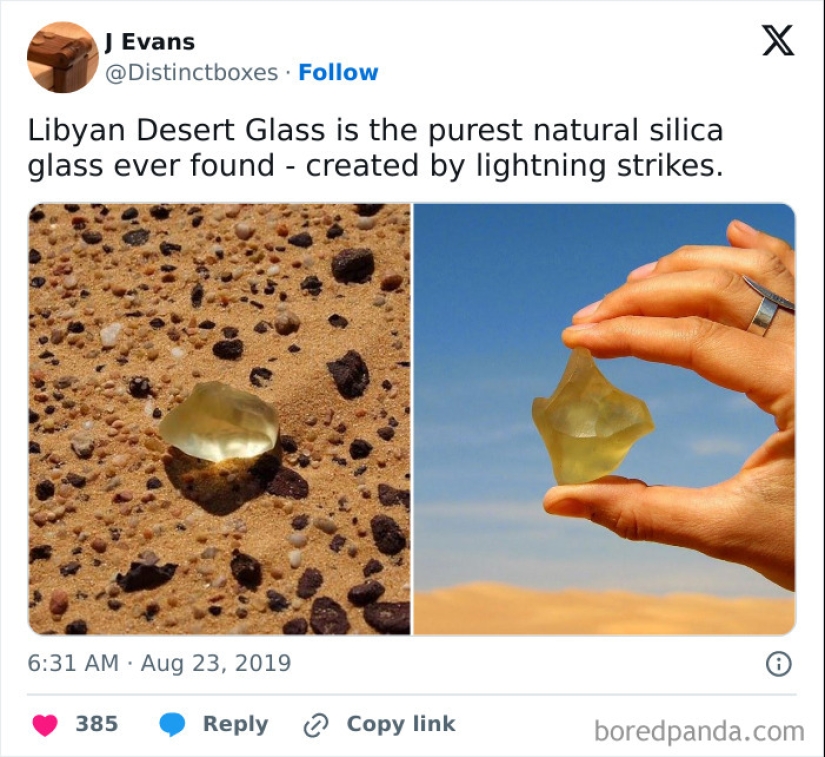 “Hotdog Stand”: 10 Unusual And Bizarre Discoveries That Stunned Desert Explorers “Hotdog Stand”: 10 Unusual And Bizarre Discoveries That Stunned Desert Explorers