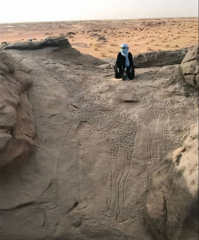 “Hotdog Stand”: 10 Unusual And Bizarre Discoveries That Stunned Desert Explorers “Hotdog Stand”: 10 Unusual And Bizarre Discoveries That Stunned Desert Explorers