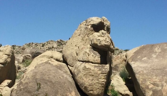“Hotdog Stand”: 10 Unusual And Bizarre Discoveries That Stunned Desert Explorers