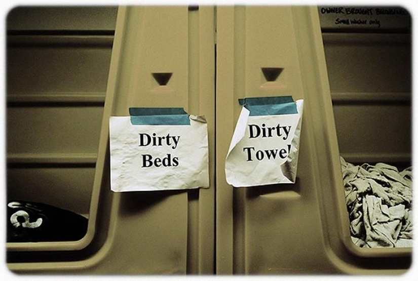 hotel para perros de 5 estrellas hotel para perros de 5 estrellas