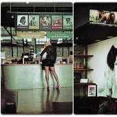 hotel para perros de 5 estrellas