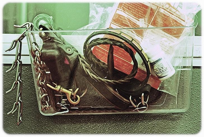 hotel para perros de 5 estrellas hotel para perros de 5 estrellas