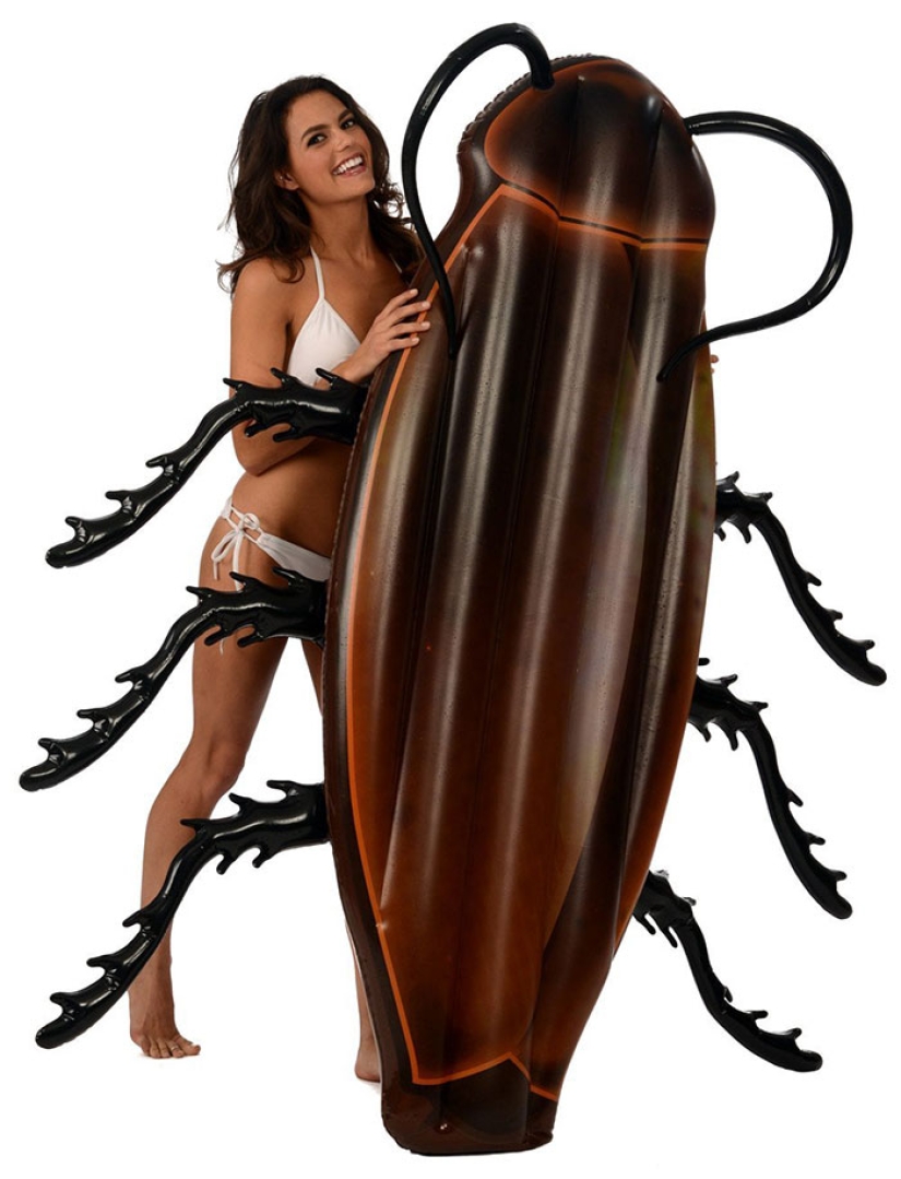 How about swimming on a huge cockroach? Amazon sells a mattress in the shape of a creepy insect How about swimming on a huge cockroach? Amazon sells a mattress in the shape of a creepy insect