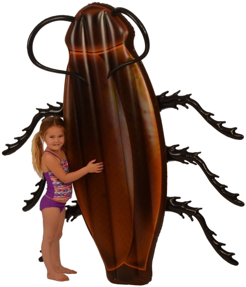How about swimming on a huge cockroach? Amazon sells a mattress in the shape of a creepy insect How about swimming on a huge cockroach? Amazon sells a mattress in the shape of a creepy insect