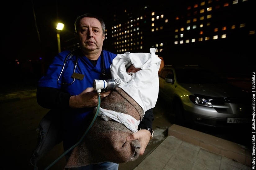 How are newborns saved? Report from pediatric intensive care How are newborns saved? Report from pediatric intensive care