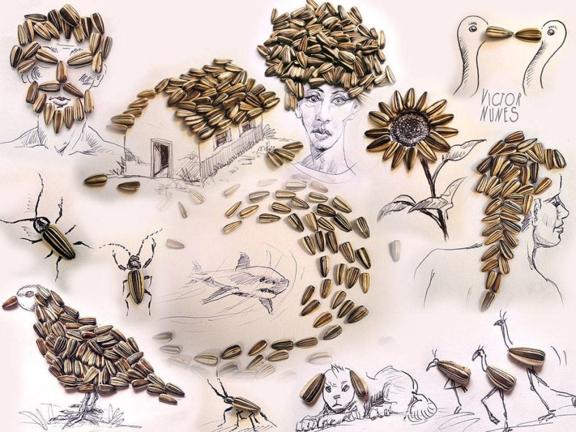 How do drawings from food and improvised items look like How do drawings from food and improvised items look like