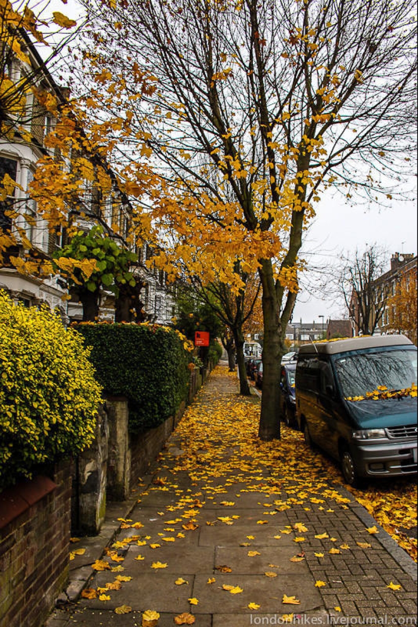 How do students live in London
