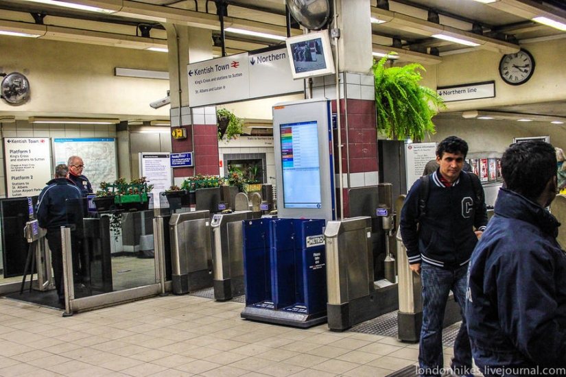 How do students live in London