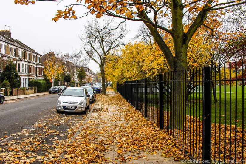 How do students live in London