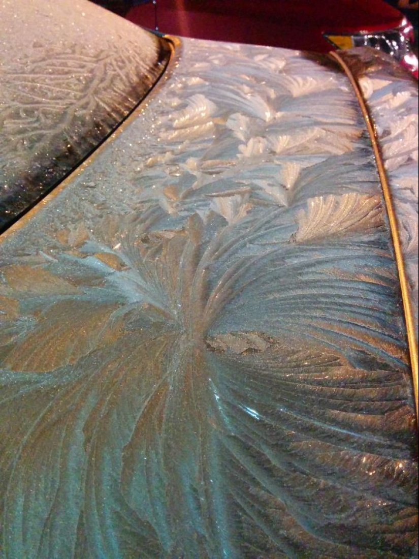 How frost turns cars into art objects