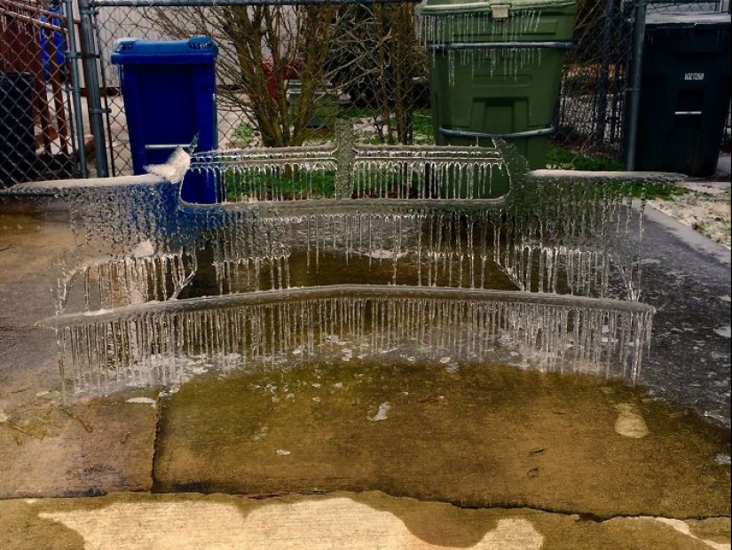 How frost turns cars into art objects