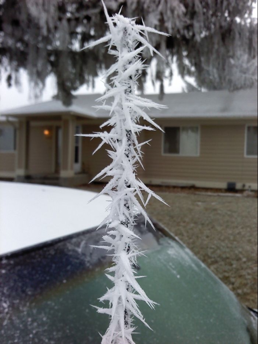 How frost turns cars into art objects