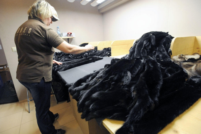 How fur coats are sewn in Russia: from an idea to a hanger