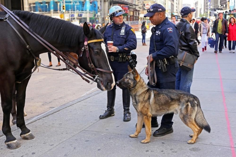 How is daily life in New York