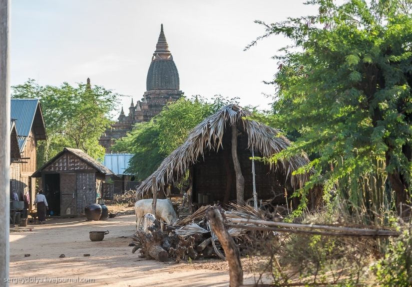 How is life in a wealthy village in Burma?