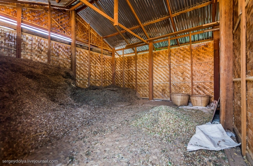 How is life in a wealthy village in Burma?