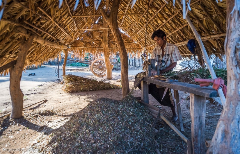 How is life in a wealthy village in Burma?