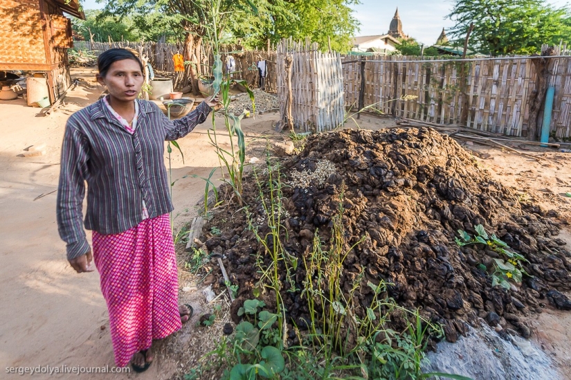 How is life in a wealthy village in Burma?