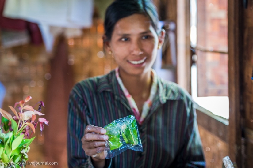 How is life in a wealthy village in Burma?