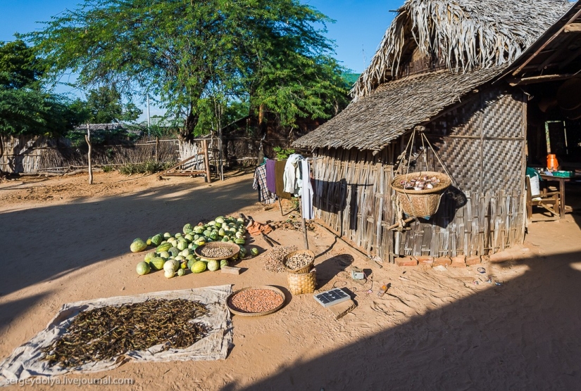 How is life in a wealthy village in Burma?
