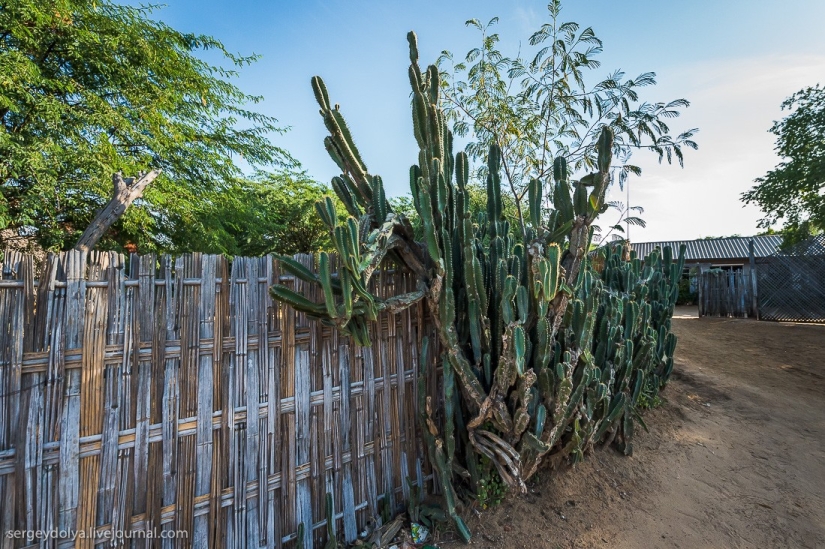 How is life in a wealthy village in Burma?