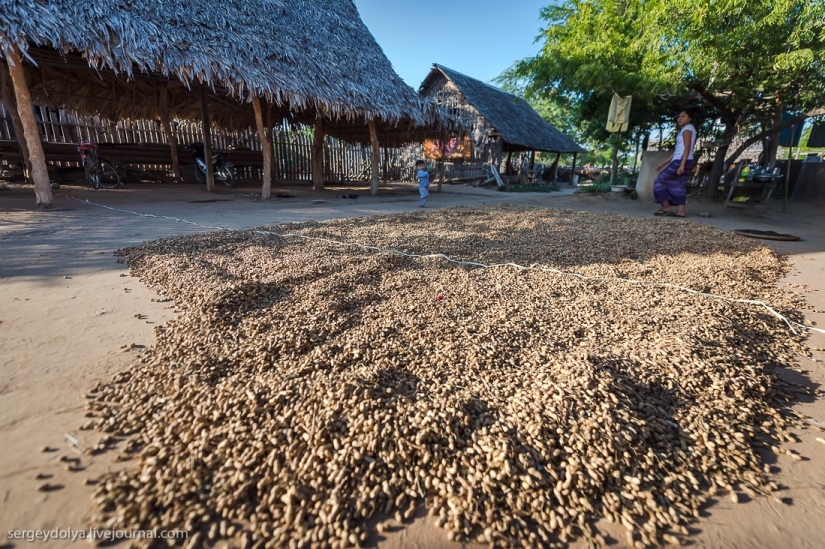 How is life in a wealthy village in Burma?