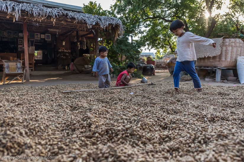 How is life in a wealthy village in Burma?